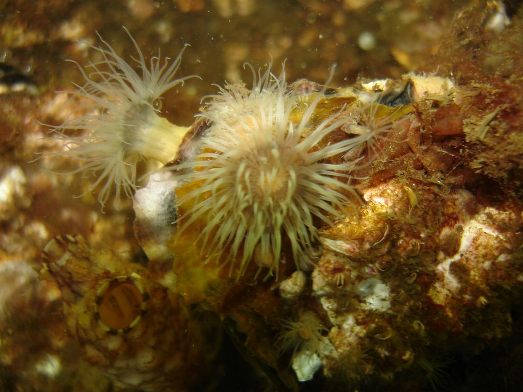 2008-06-28 12-41-55 H.JPG